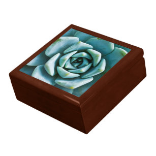 Succulent Closeup Gift Box