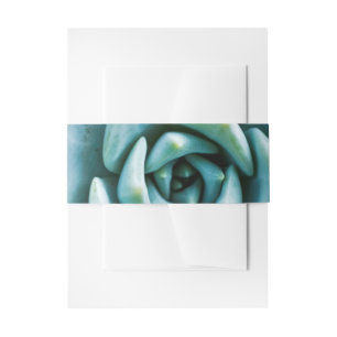 Succulent Closeup Invitation Belly Band