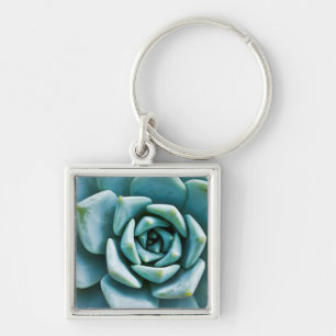Succulent Closeup Key Ring