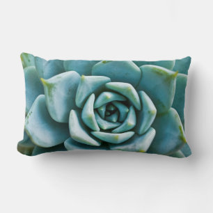 Succulent Closeup Lumbar Cushion