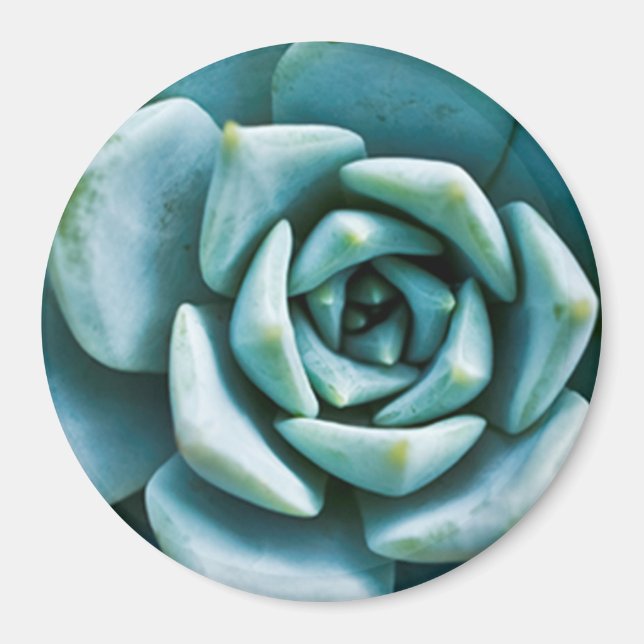 Succulent Closeup Magnet (Front)