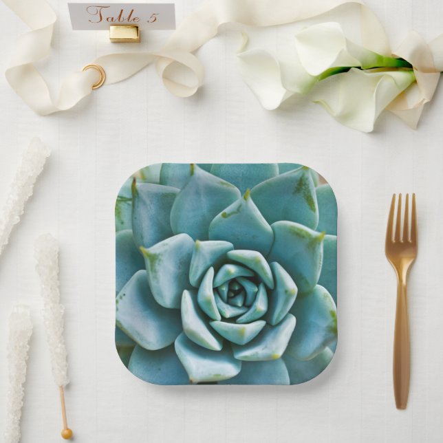 Succulent Closeup Paper Plate (Wedding)