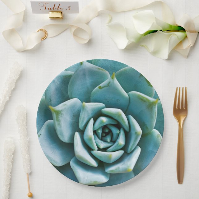 Succulent Closeup Paper Plate (Wedding)