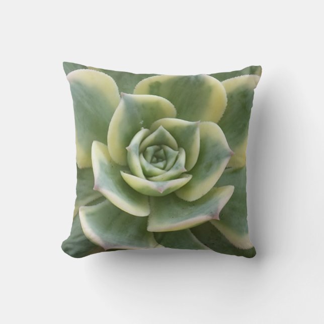 Succulent Cushion (Front)