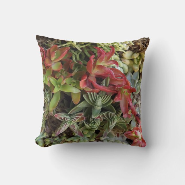 Succulent Cushion (Front)