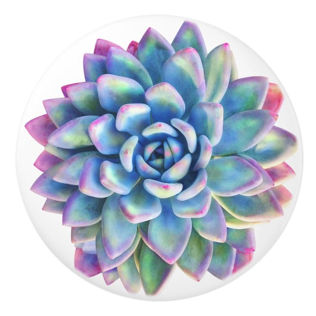 succulent decorative knob (Front)