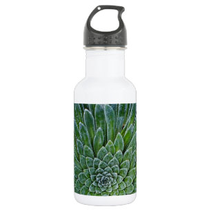 Succulent Desert plant 532 Ml Water Bottle
