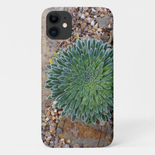 Succulent Desert plant Case-Mate iPhone Case