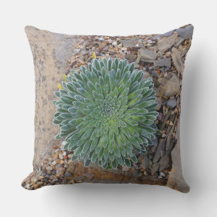 Succulent Desert plant Cushion