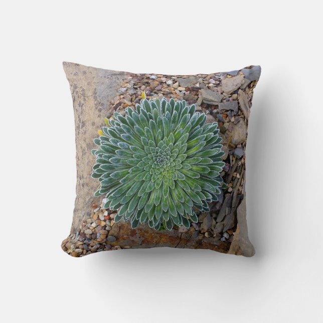 Succulent Desert plant Cushion (Front)