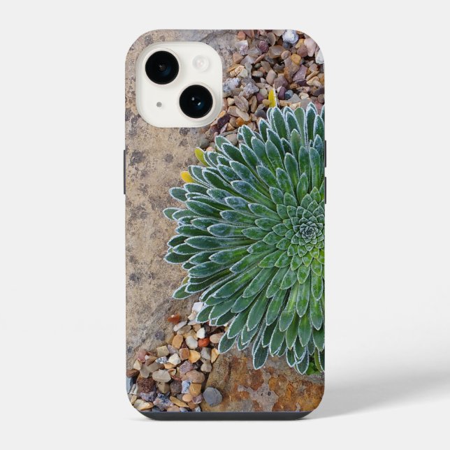Succulent Desert plant iPhone Case (Back)