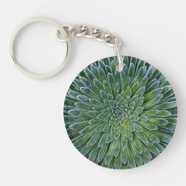 Succulent Desert plant Key Ring (Front)