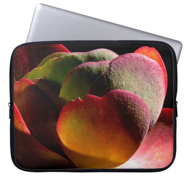 Succulent Desert Plant Laptop Sleeve (Front)