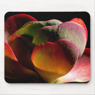 Succulent Desert Plant Mouse Pad