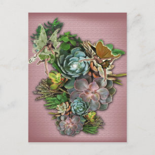 Succulent display on a postcard