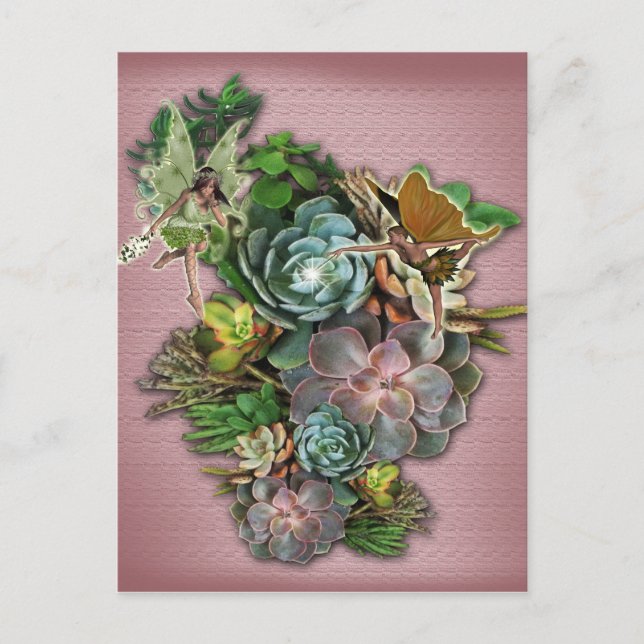 Succulent display on a postcard (Front)