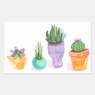 Succulent Display Rectangular Sticker