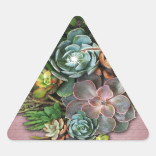 Succulent displays triangle sticker