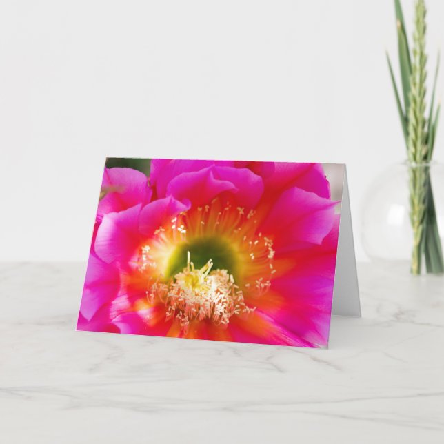 Succulent Flower Macro Card (Front)