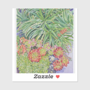 Succulent Garden