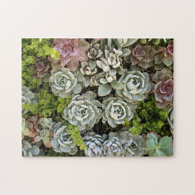 Succulent Garden 1 Jigsaw Puzzle (Horizontal)