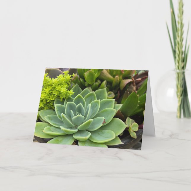 Succulent garden card (Front)