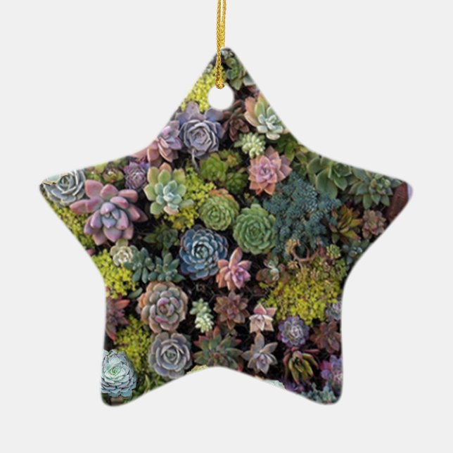 Succulent garden design ceramic tree decoration (Front)
