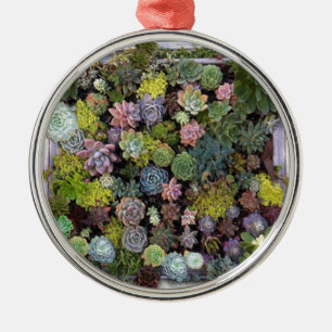 Succulent garden design metal tree decoration