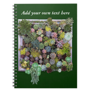 Succulent garden design notebook