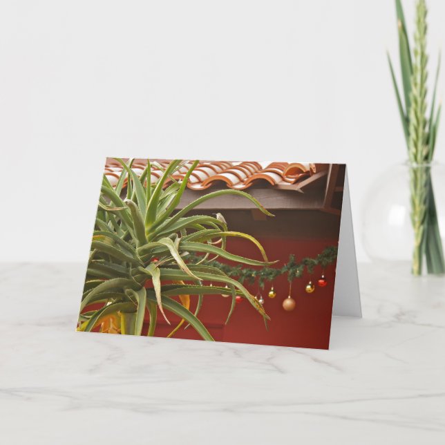 Succulent garden greeting card: Happy Aloedays! Holiday Card (Front)