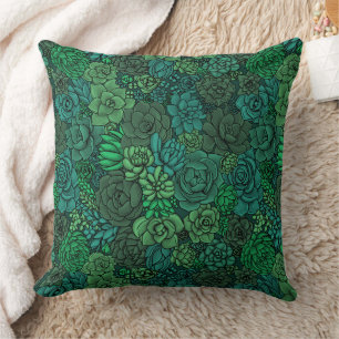 Succulent garden in green cushion
