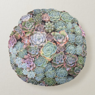 Succulent Garden Mix Sempervivum Round Cushion