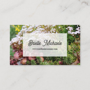 Succulent Garden Photo Business Card
