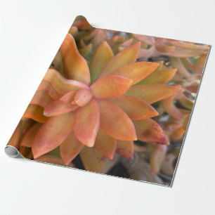 Succulent Gift Wrapping Paper
