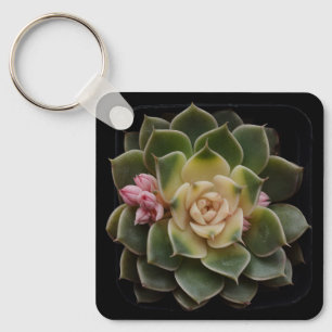 Succulent in Pot 7 Key Ring