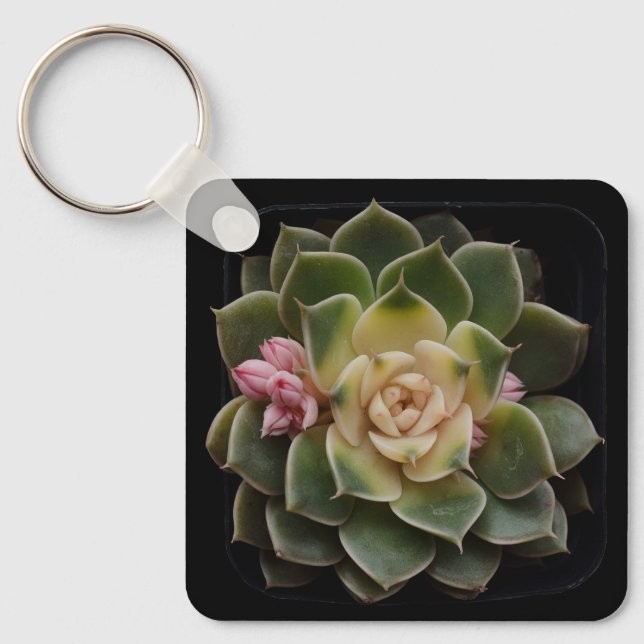 Succulent in Pot 7 Key Ring (Front)