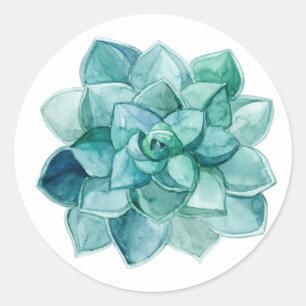 Succulent in watercolor classic round sticker