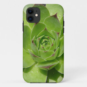 Succulent iPhone Case