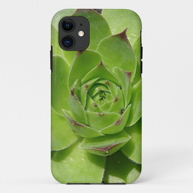 Succulent iPhone Case (Back)