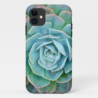 Succulent iPhone Case