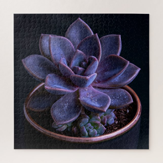 Succulent  jigsaw puzzle (Vertical)
