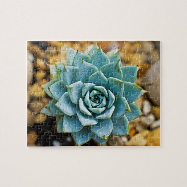 Succulent Jigsaw Puzzle (Horizontal)