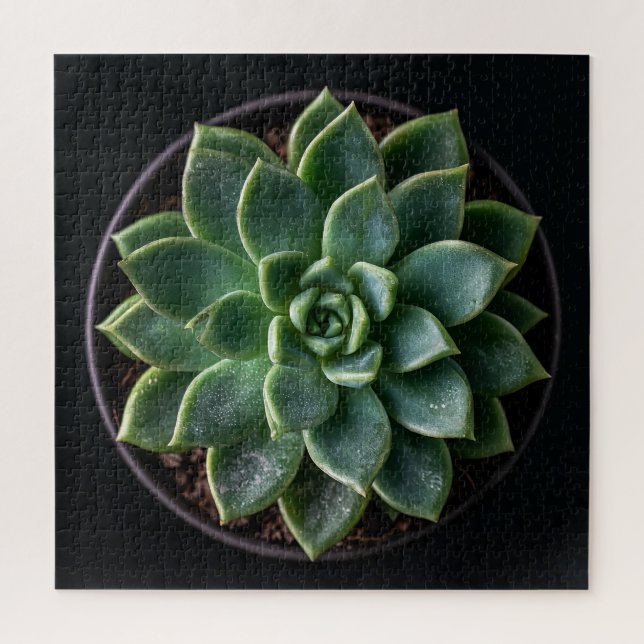 Succulent  jigsaw puzzle (Vertical)