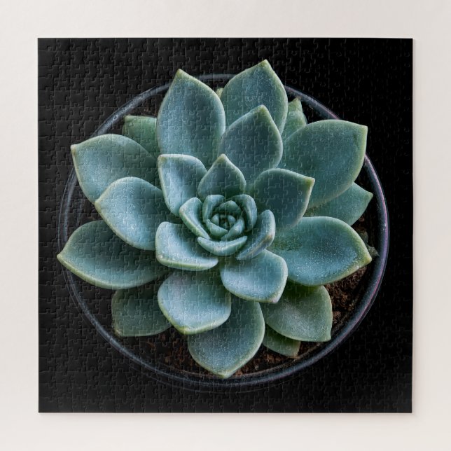 Succulent  jigsaw puzzle (Vertical)