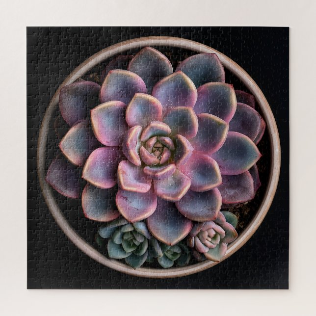 Succulent  jigsaw puzzle (Vertical)