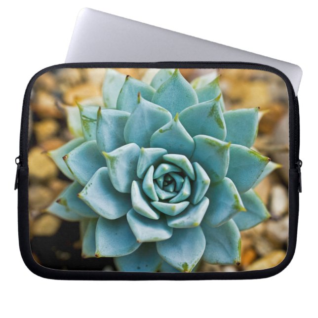 Succulent Laptop Sleeve (Front)