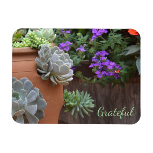 Succulent Lover Gratitude Magnet