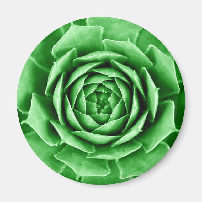 Succulent Magnet (Front)