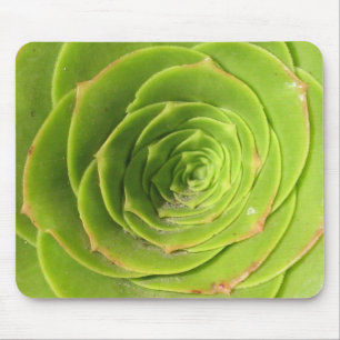 Succulent Mouse Pad