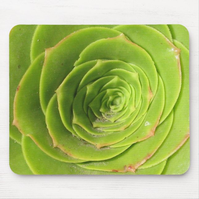 Succulent Mouse Pad (Front)